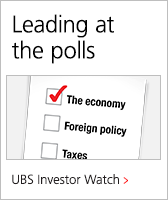 Electing the economy